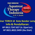 Seminar TORCH dan Solusinya di Bandar Lampung Bulan Januari 2020