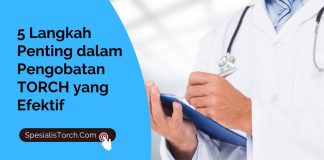 5 Langkah Penting dalam Pengobatan TORCH yang Efektif 5 Langkah Penting dalam Pengobatan TORCH yang Efektif