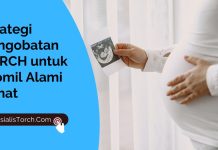 Strategi Pengobatan TORCH untuk Promil Alami Sehat Strategi Pengobatan TORCH untuk Promil Alami Sehat
