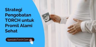 Strategi Pengobatan TORCH untuk Promil Alami Sehat Strategi Pengobatan TORCH untuk Promil Alami Sehat