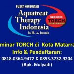 Seminar TORCH dan Solusinya di Mataram Bulan Desember 2019