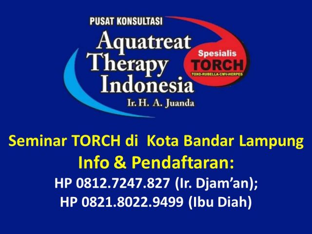 Seminar TORCH di Bandar Lampung