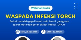Free Webinar Torch dan Solusinya 25 November 2023